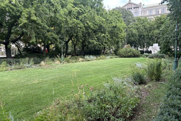 A belvárosiak igényei alapján újulhat meg a Honvéd tér