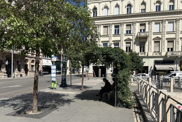 Már 13 buszmegálló zöldült ki tavasszal a Belvárosban
